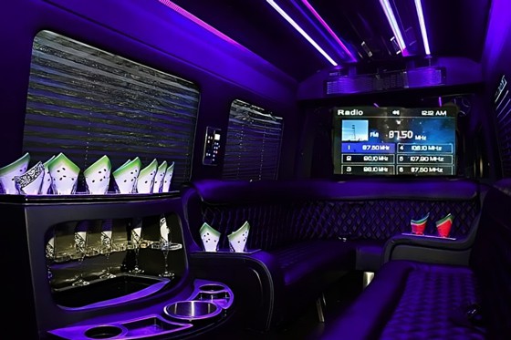 Sprinter Limo Van